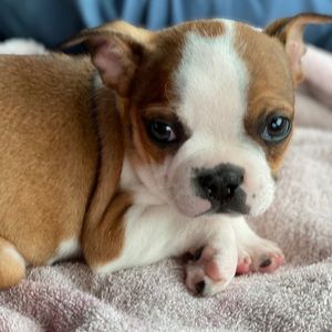 Meet your Posher, Tabitha